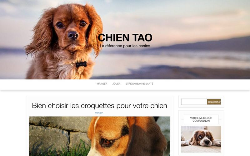 Chien Tao - La référence pour les canins